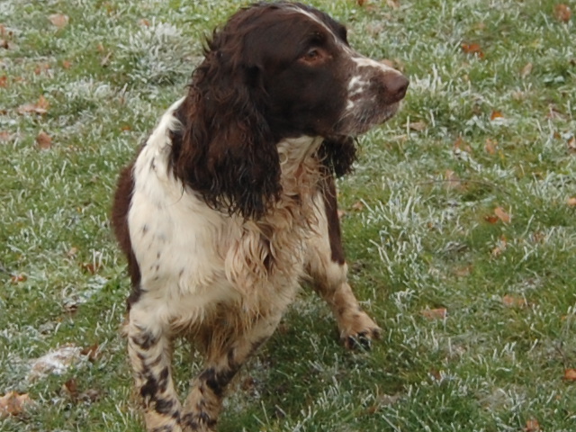 Duke de la closerie du chapitre